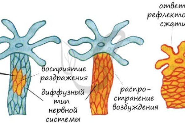 Зеркала кракен kraken014 com kraken014 com