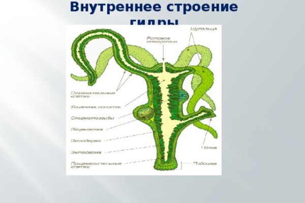 Ссылка на сайт кракен в тор