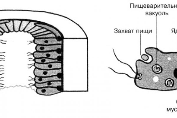 Кракен найти сайт