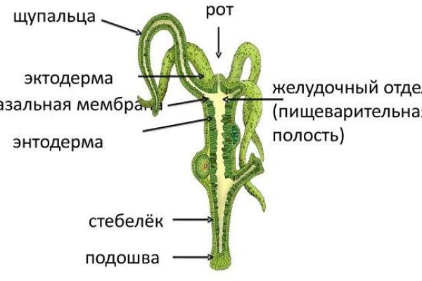 Ссылки даркнета